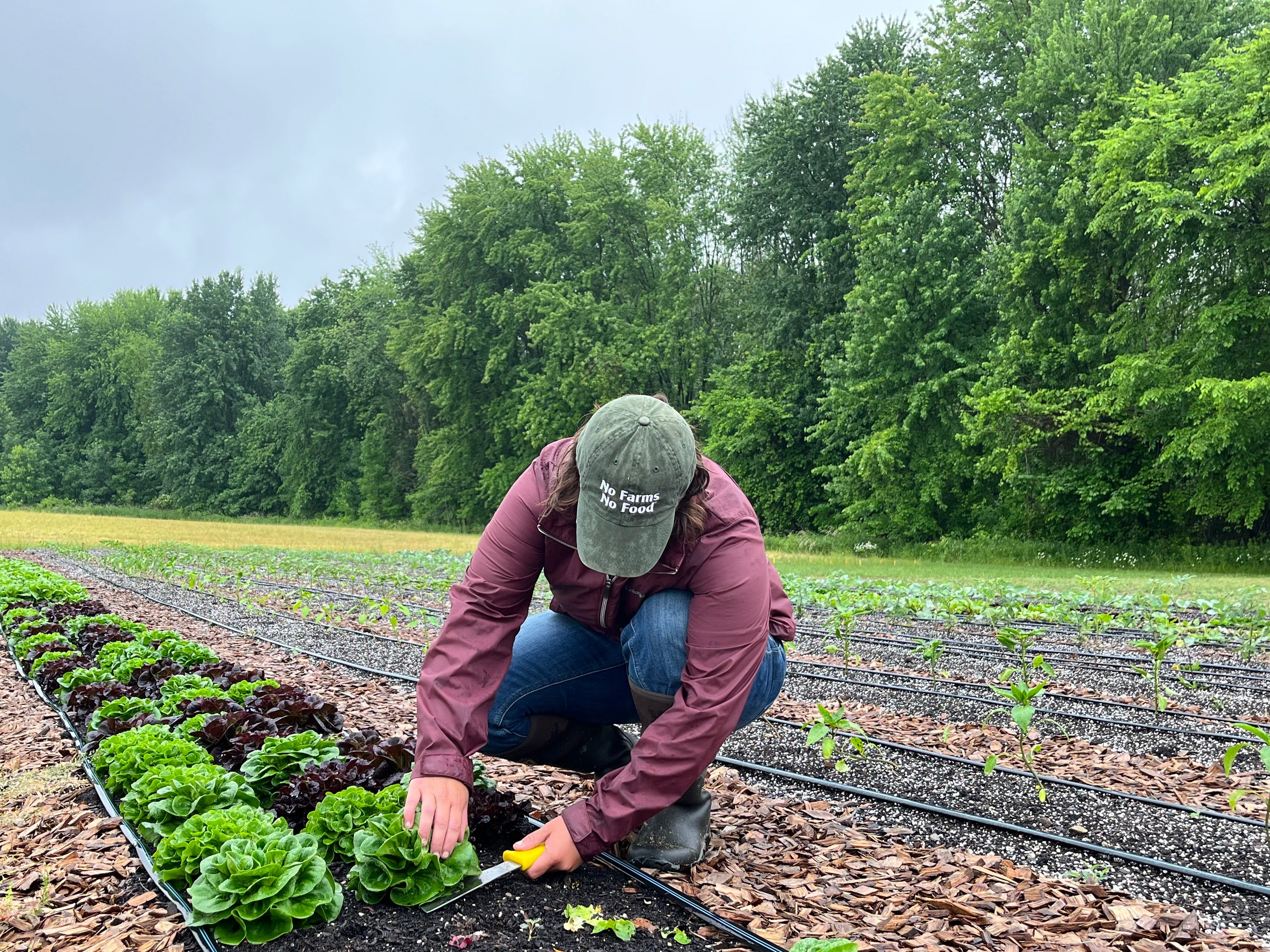 Our Produce