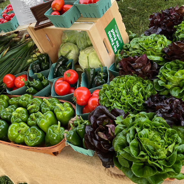 CSA Farm Share