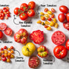 Cherry Tomatoes